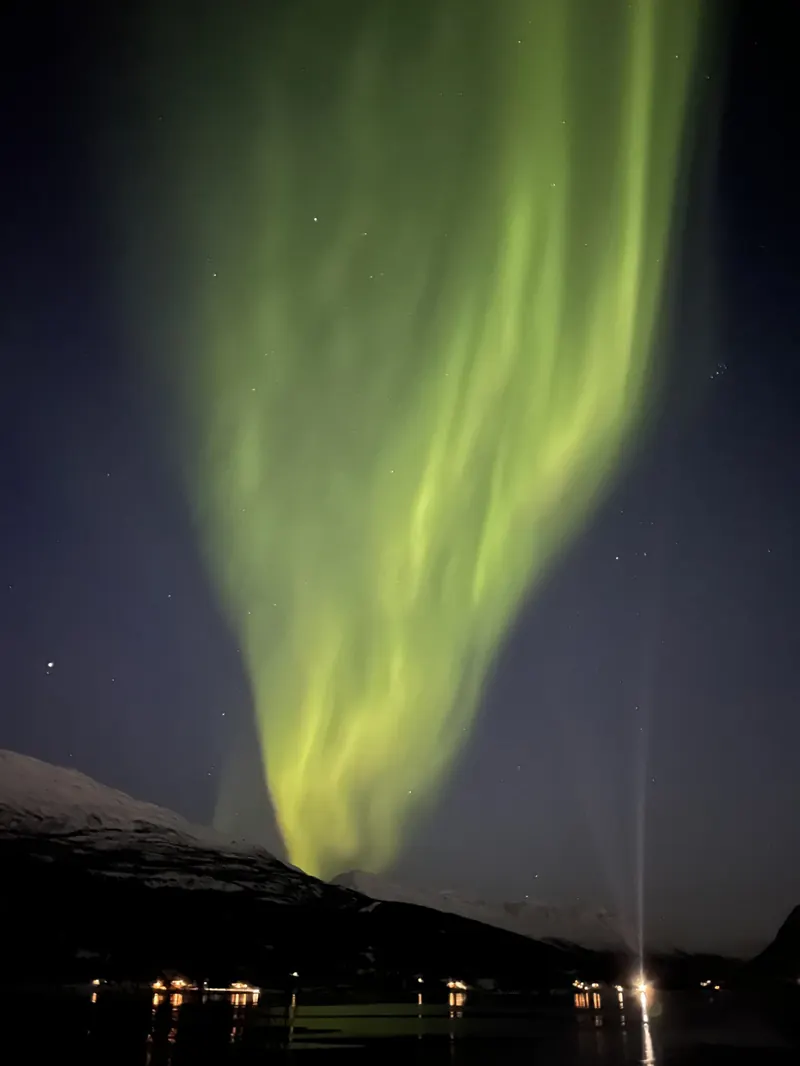 Grønt nordlys på nattehimmelen